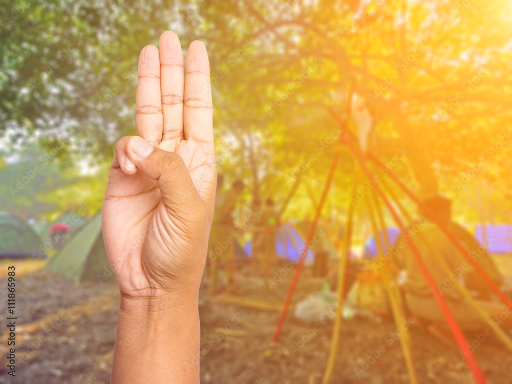 blurred scouts camping background.